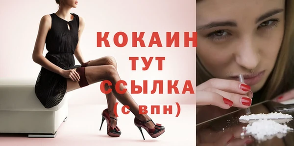 соль курить ск Алексеевка