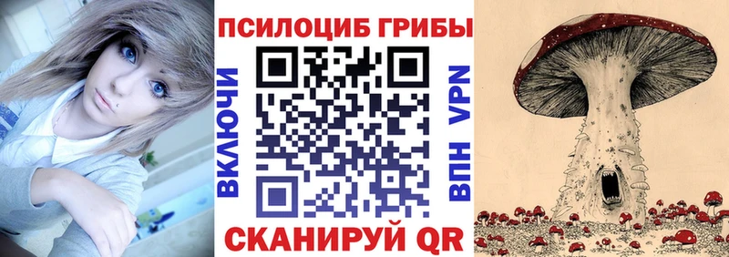 Галлюциногенные грибы MAGIC MUSHROOMS  Сокол 